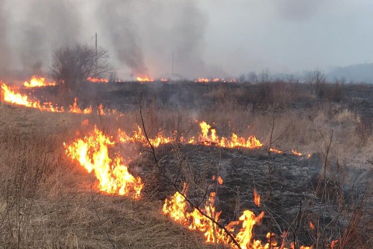 На Волині пенсіонер підпалив траву і загинув у пожежі