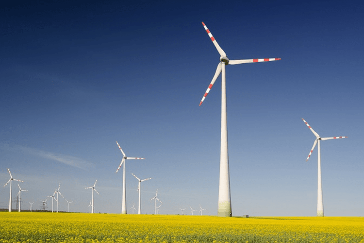 На Волині зведуть ще 33 вітротурбіни