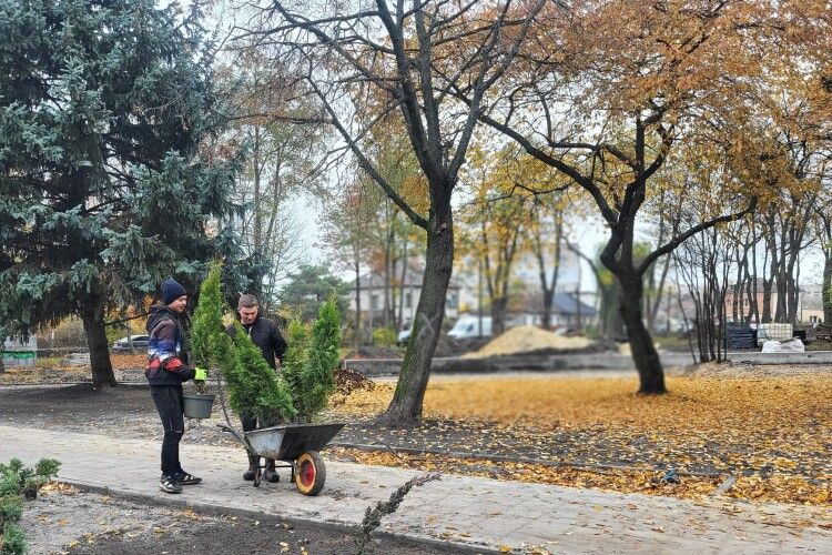Сакури, барбарис, спірея: у місті на Волині з'явиться всесезонний парк