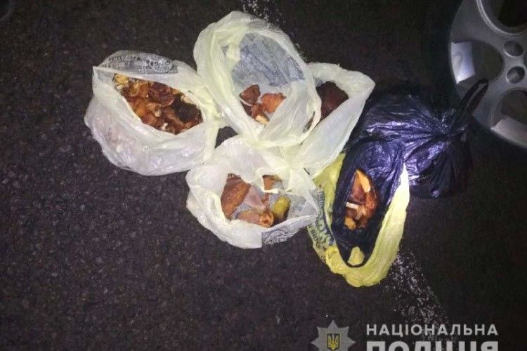 Киянин із двома китайцями перевозив 5 кілограмів бурштину