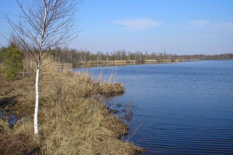 Дві громади на Волині поставили під загрозу територію заказника