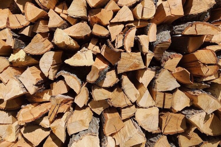 За якою ціною жителі  Волині та Рівненщини можуть купити дрова у лісництвах 
