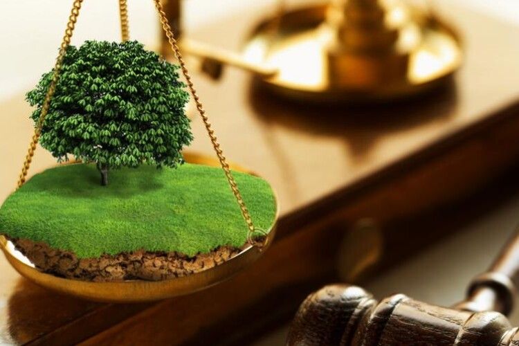 На Волині прокурори домоглися повернення земельних ділянок у державну власність вартістю понад 35 мільйонів гривень