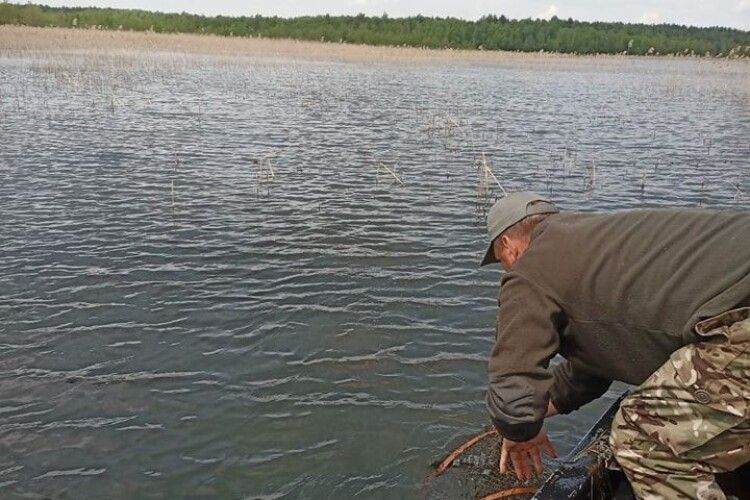 На водоймах Волині вилучили незаконні знаряддя лову