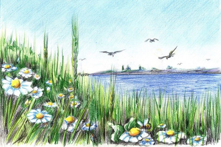 Творча зустріч із поетами Любешівщини