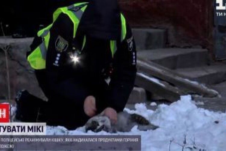 Робили масаж серця: у Львові поліцейські врятували з пожежі кішку (Відео)