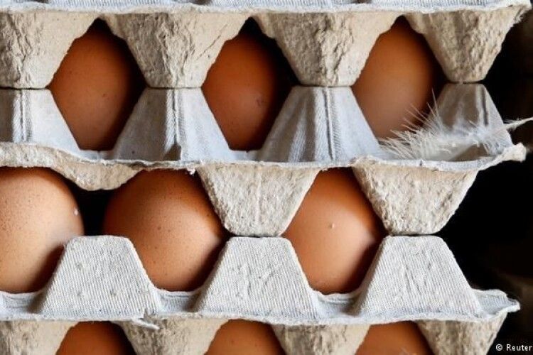 Україна випередила США!