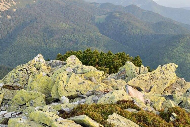 На горі Хом’як у Карпатах загубився хлопчик з Маріуполя