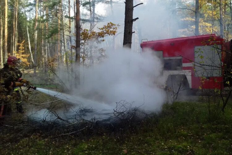 Лісівники та рятувальники гасили пожежу на Камінь-Каширщині