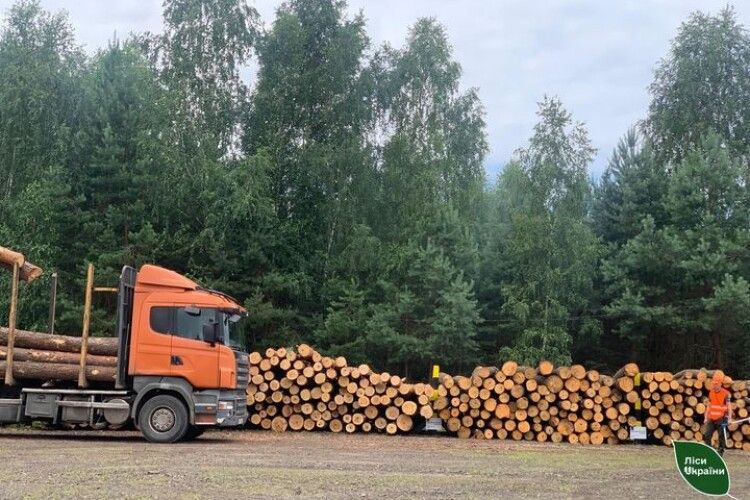 Волинські лісівники дбають про забезпечення військових деревиною