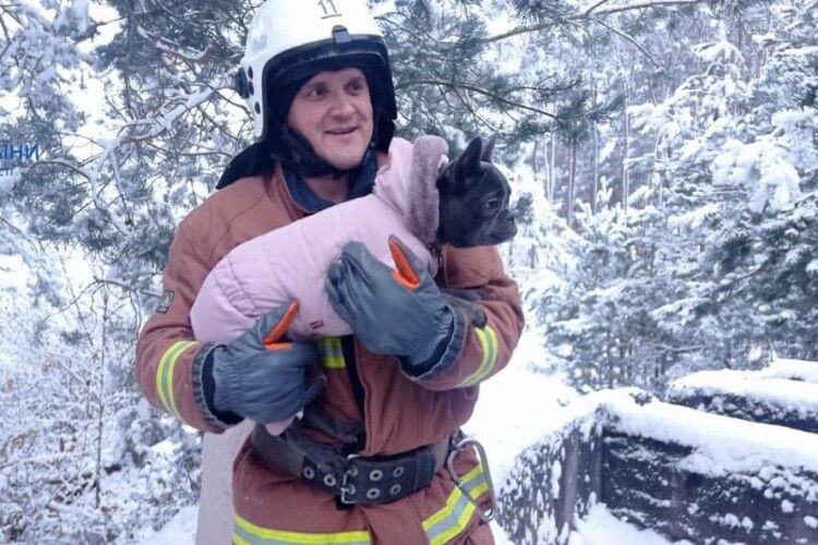 На Волині рятувальники витягли собаку з шестиметрової ями