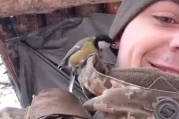 Українського військового «поцілувала»... синичка. Люди вірять, що це добрий знак (Відео)