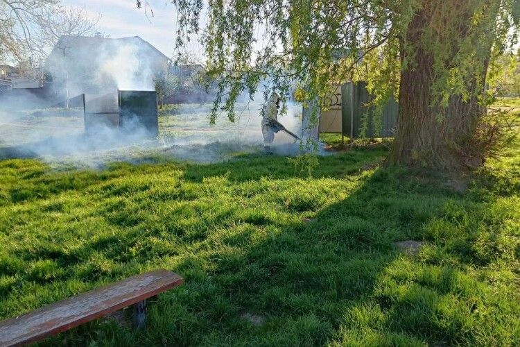 У кожного третього кліща, знятого з волинян, виявили борелії