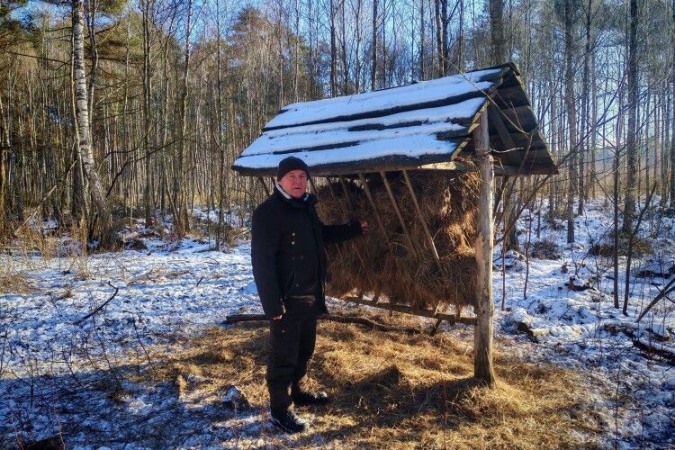 Як виглядає заповідне урочище на Волині після перших снігопадів