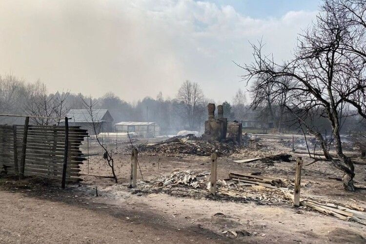 Лісові пожежі в Житомирській області перекинулися на села, людей евакуйовують