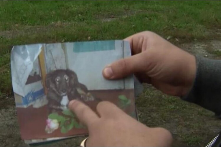 Українка повернула собі пса через 11 років після зникнення