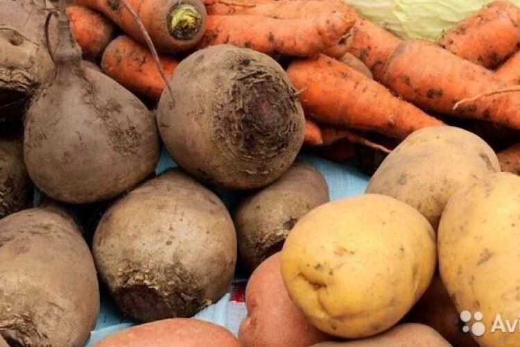 В Україні дешевшають картопля, морква та буряки