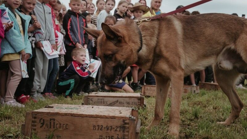 Фото: Поліція Волинської області.