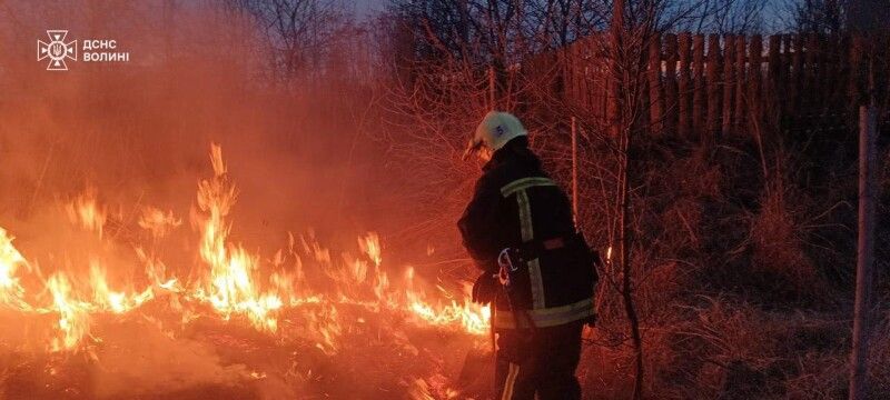 Фото: ДСНС Волині.