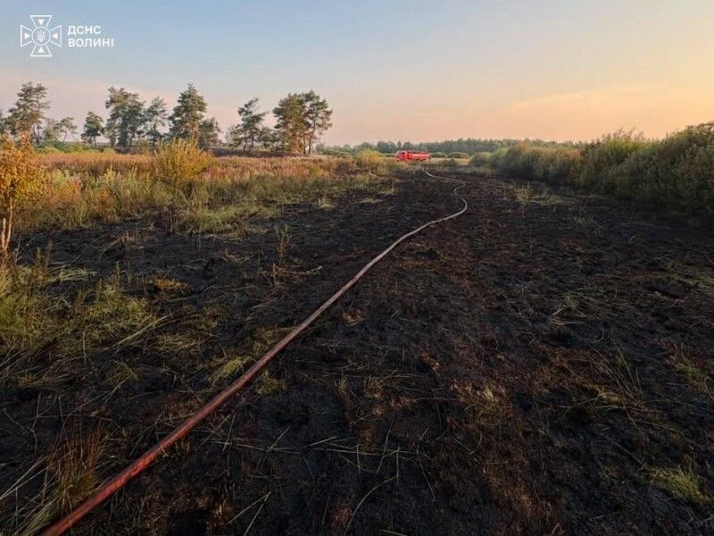 Фото: ДСНС Волині. 