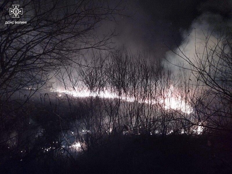 Фото: ДСНС Волині.