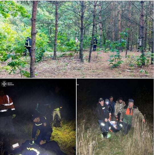 Фото: ДСНС Волині.
