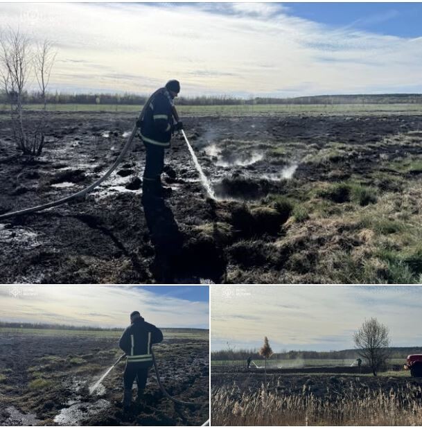 Фото: ДСНС Волині.