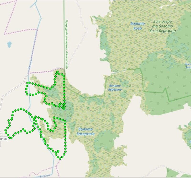 Зелені крапки – межі родовища «Коза-Березина», зелена лінія – межі Рівненського заповідника.