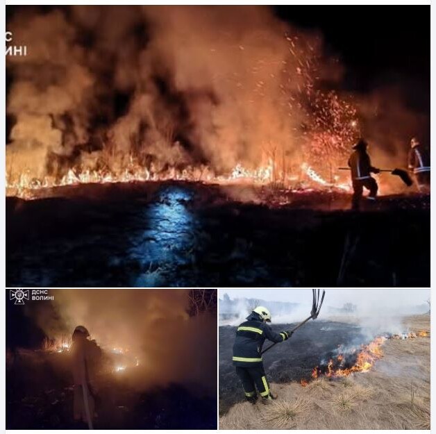 Фото: ДСНС Волині.