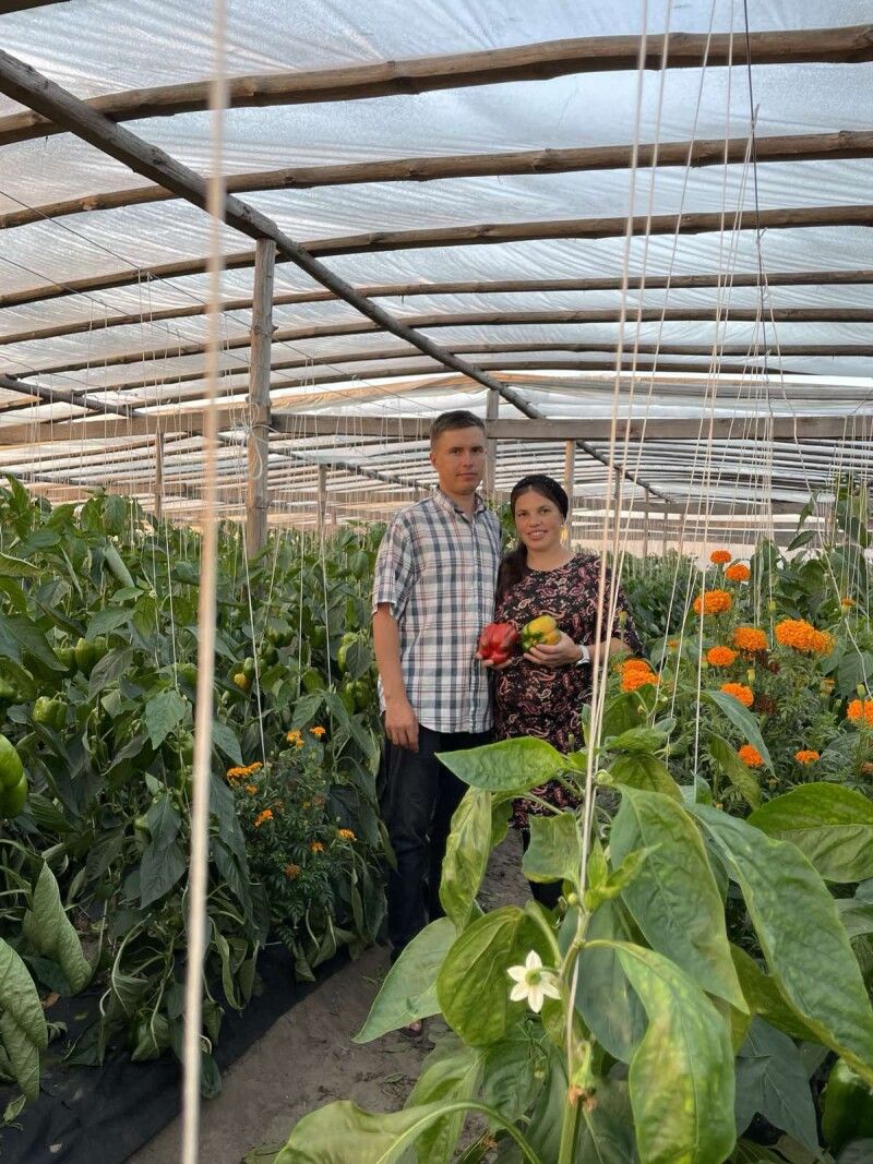 На архівному фото, датованому серпневою порою, Андрій із дружиною – в одній із теплиць: на розкішних, височенних стеблах достигає перець.