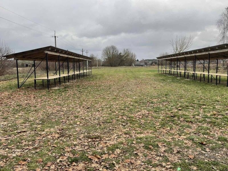 Фото: Юрій ФІНІКОВСЬКИЙ.