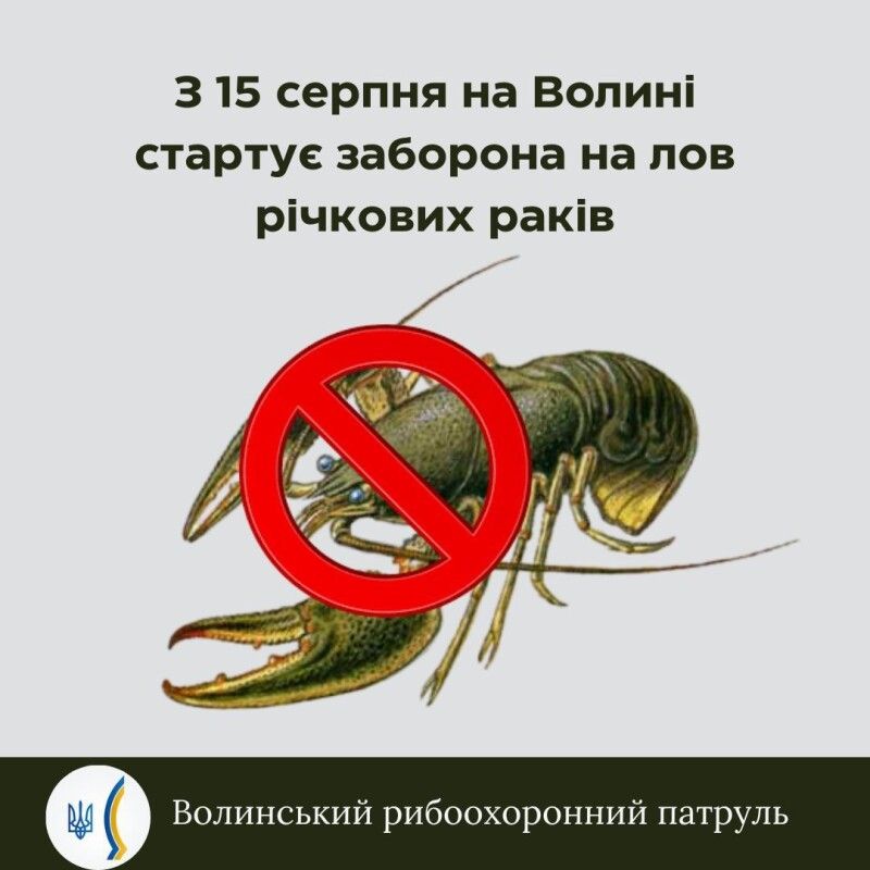 За завдання істотної шкоди через незаконне зайняття рибним промислом передбачена кримінальна відповідальність.