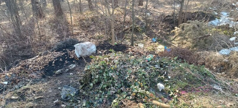 Фото: Маневицька селищна рада.