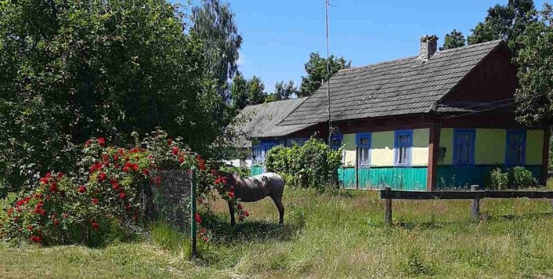 У цій хаті вже ніхто не живе…