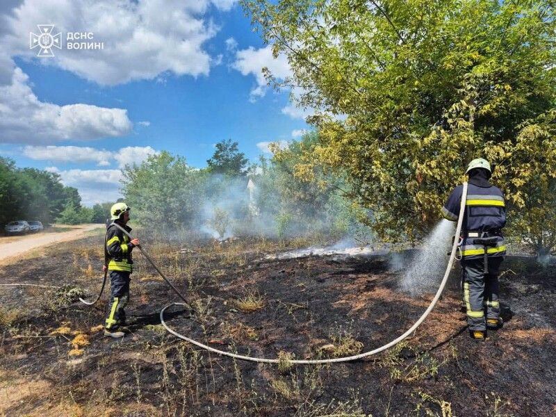 Фото: ДСНС Волині.