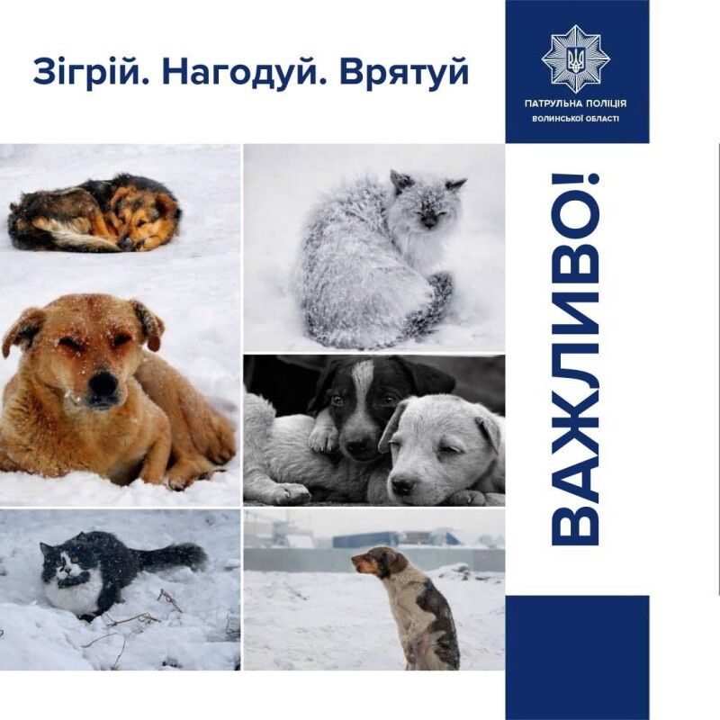 Фотоколаж: Патрульна поліція Волині.