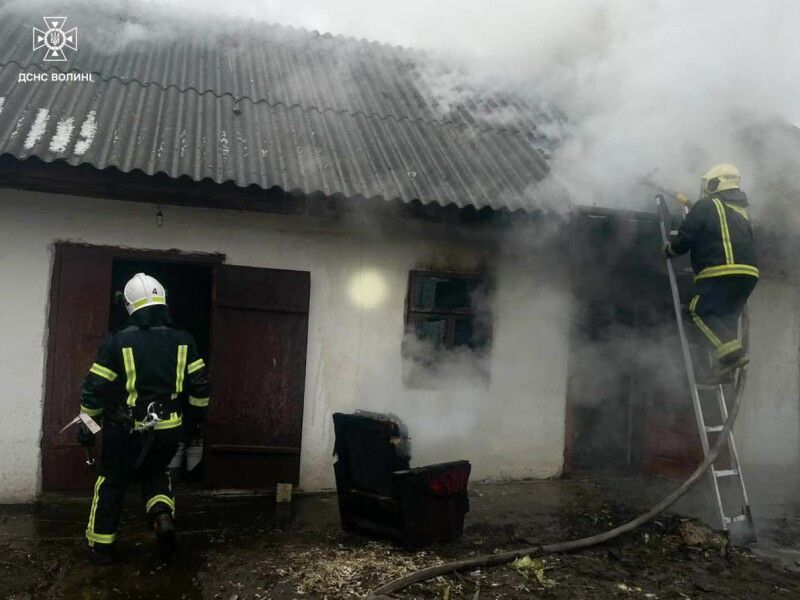 Фото: ДСНС Волині.