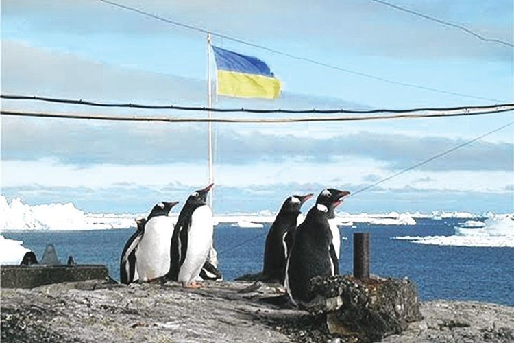 Український стяг надійно охороняють аборигени Антарктики.