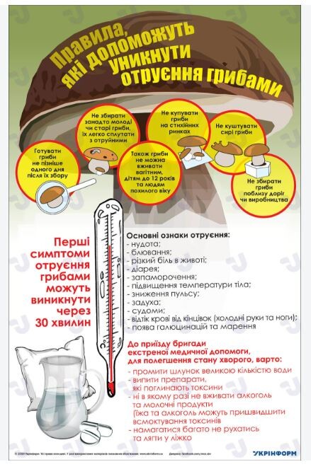 Інфографіка: ukrinform.ua.