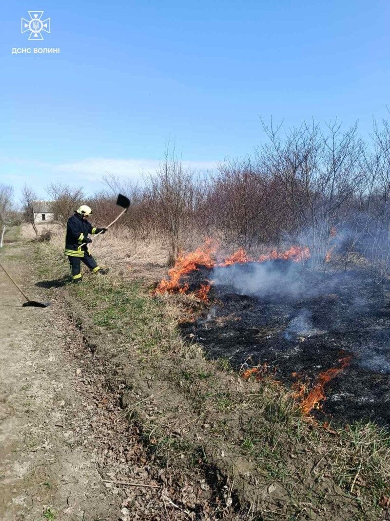 Фото: ДСНС Волині.