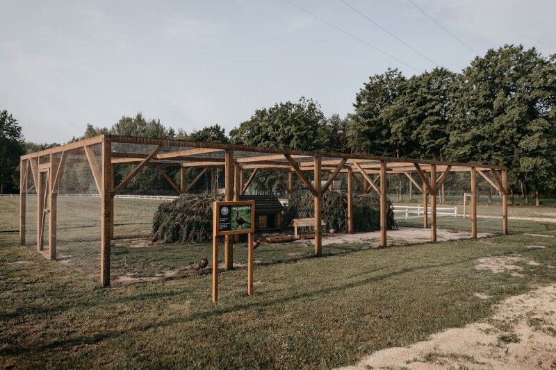 Природа Шацького нацпарку лікує: тут вам — і декоративні птахи, і плантації лохини, і верхова їзда…