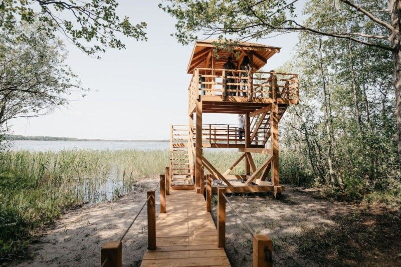 Природа Шацького нацпарку лікує: тут вам — і декоративні птахи, і плантації лохини, і верхова їзда…