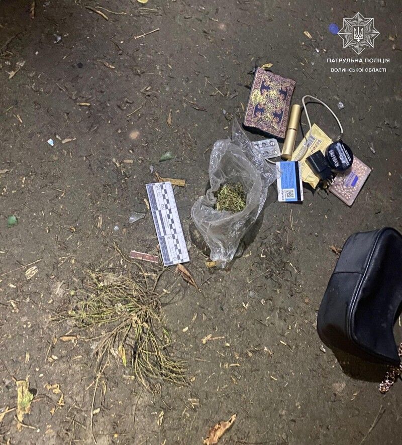Фото: Патрульна поліція Волині.