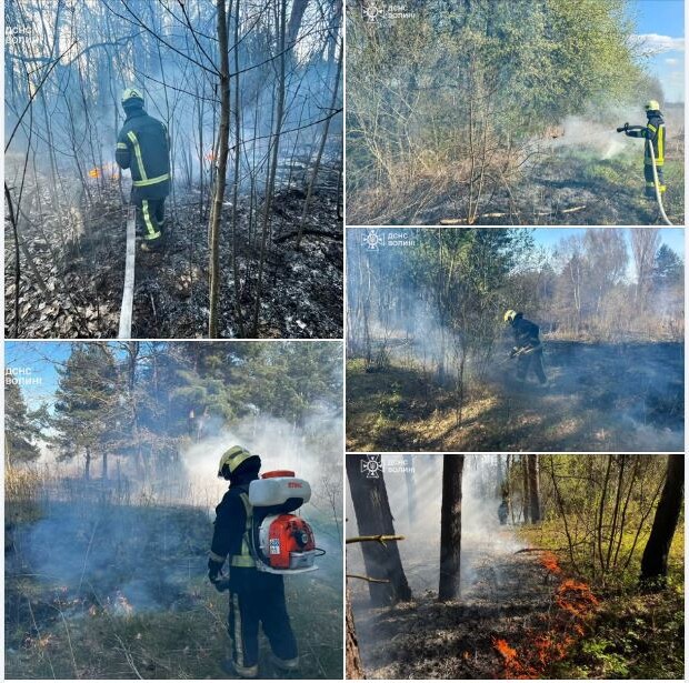 Фото: ДСНС Волині.