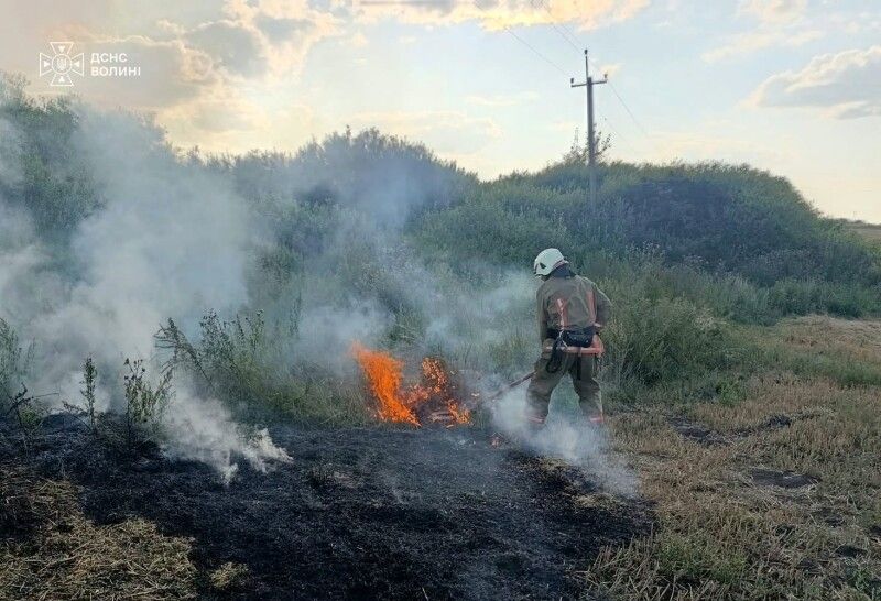 З початку року на Волині ліквідовано 757 пожеж на площі 500 гекратів. Фото: ДСНС Волині. 