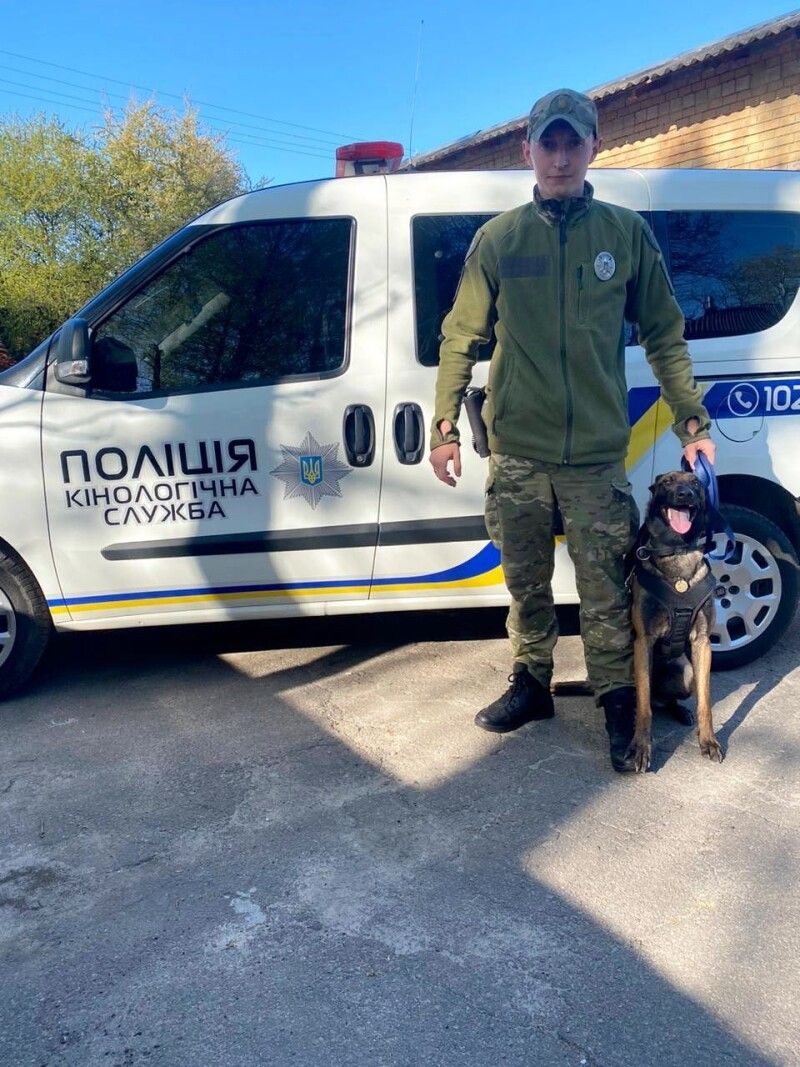 Цей пес із Березного професійно узяв слід.