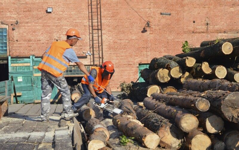 Деревопереробне підприємство в ДП «Ківерцівське лісове господарство».