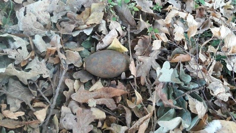 Піротехніки ідентифікували їх як 4 артилерійські снаряди калібру 122 мм, 1 гранату та 1 артилерійський снаряд 152-міліметровий. 