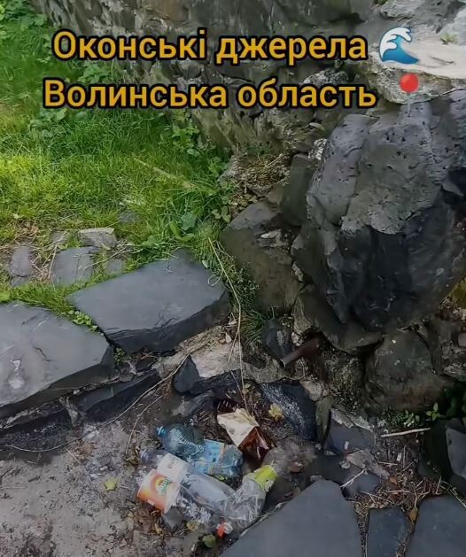 Фотоскрін з відео Наталі ОКСЕНЮК.