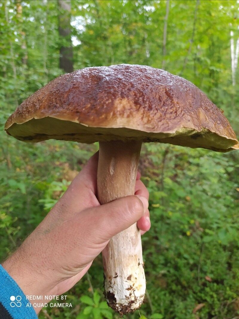 Ич який!